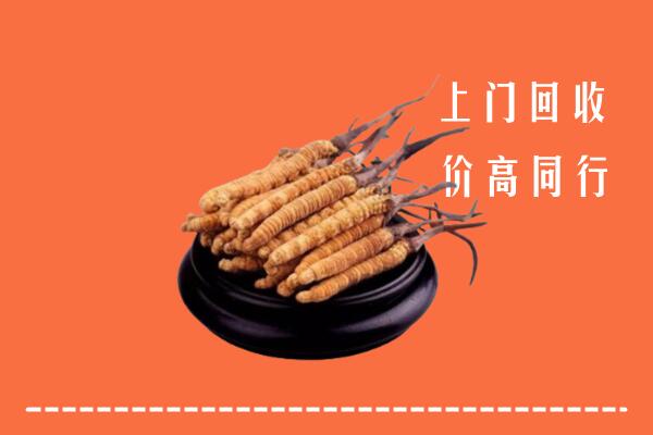 高价求购：台州市温岭回收散虫草