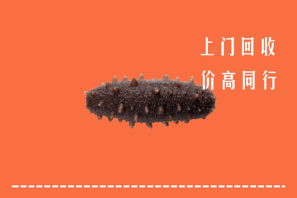 高价求购：台州市温岭回收海参