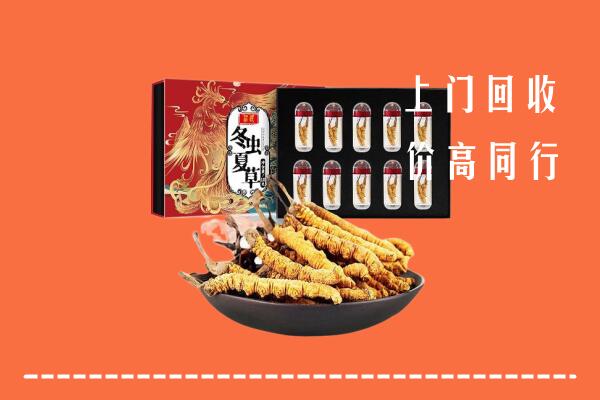 收购行情：台州市温岭回收虫草